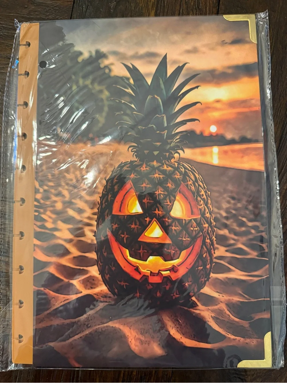 Brand New The Daily Grind Summerween Halloween Planner Cover and Dividers